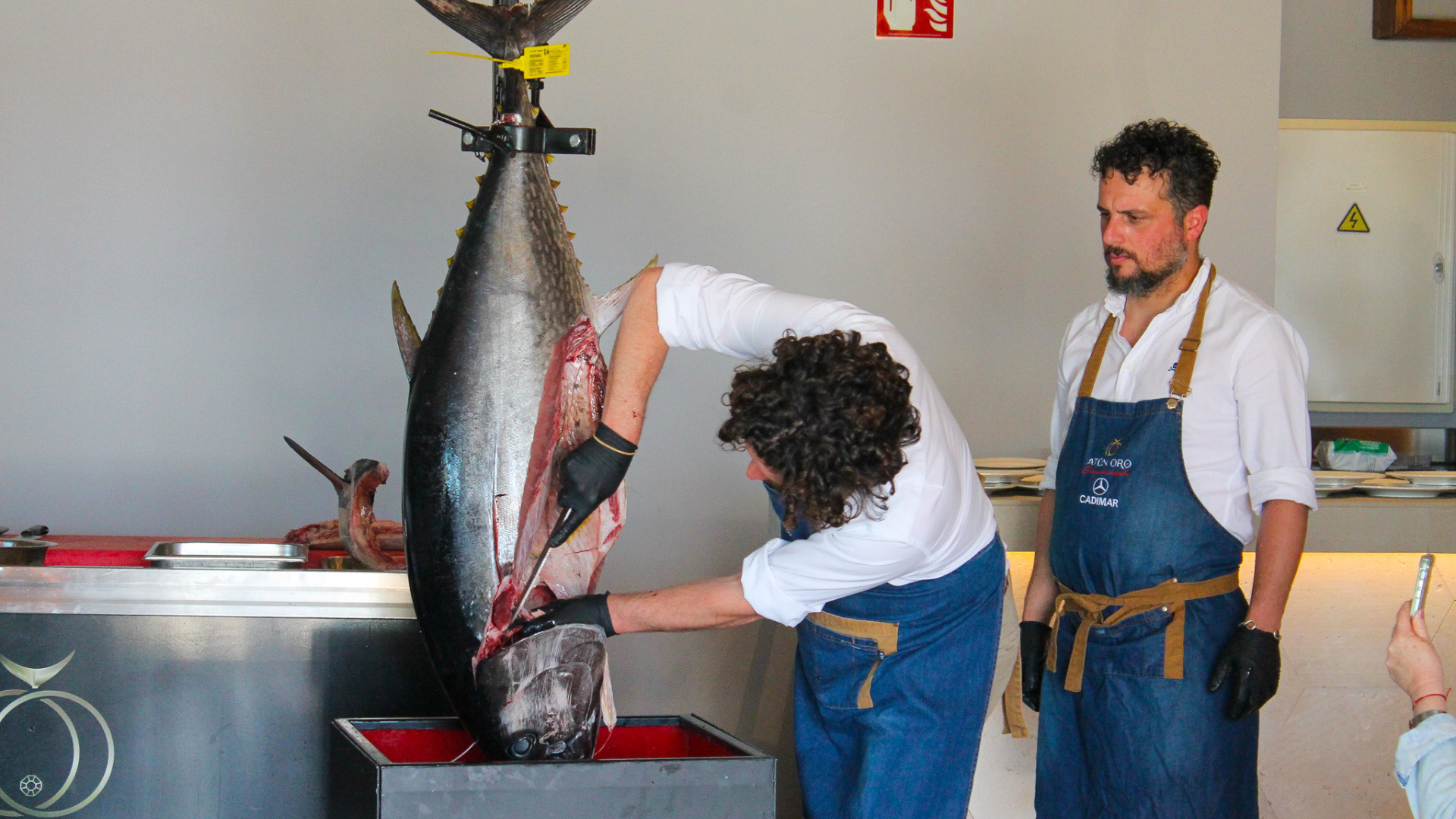 Chef especializado en ronqueo de atún despieces un atún en directo, mostrando su habilidad y precisión mientras realiza el proceso de ronqueo en un evento privado.